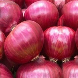 Onions-ఉల్లిగడ్డలు