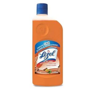 Lizol Sandal 500ml