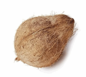 Coconut కొబ్బరి కాయ
