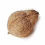 Coconut కొబ్బరి కాయ