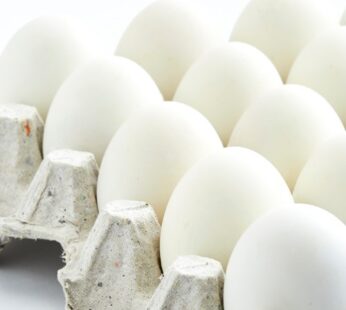 Eggs Pack of 30