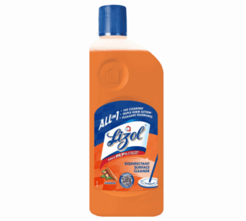 Lizol Sandal 500ml