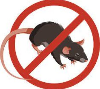 Time Out Rat Killer 20g