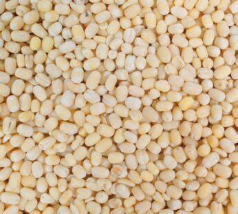 Urad Whole మినప గుండ్లు