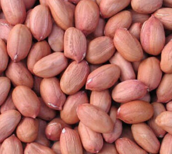 Groundnut పల్లీలు