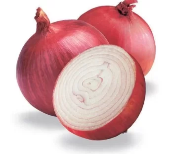 Onion ఉల్లిగడ్డలు
