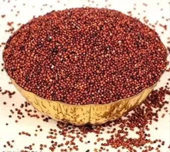 Raagulu రాగులు