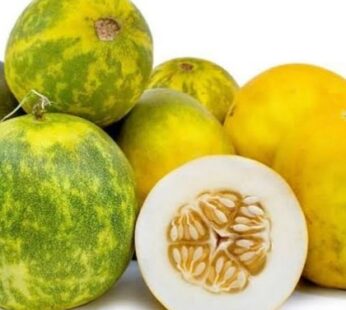 Cucumber దోసకాయ