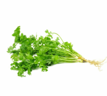 Coriander Leaves కొత్తిమీర