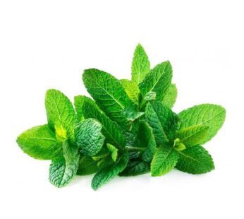Mint Leaves పుదీనా